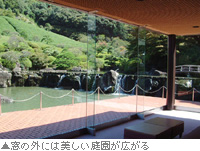 ���p�ق̑����猩����photo